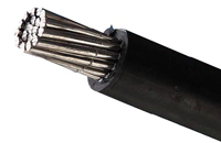 架空荣耀体育手机版