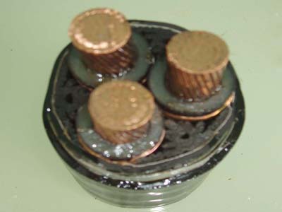 交联电力荣耀体育手机版