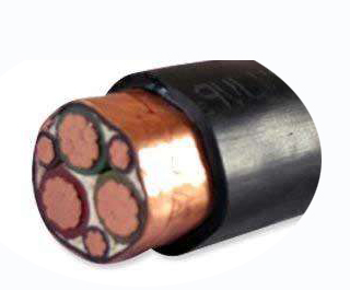 变频器专用电力荣耀体育手机版